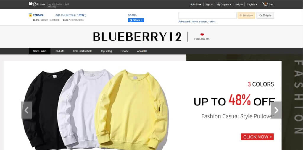 Best DHgate Sellers - Blueberry 12