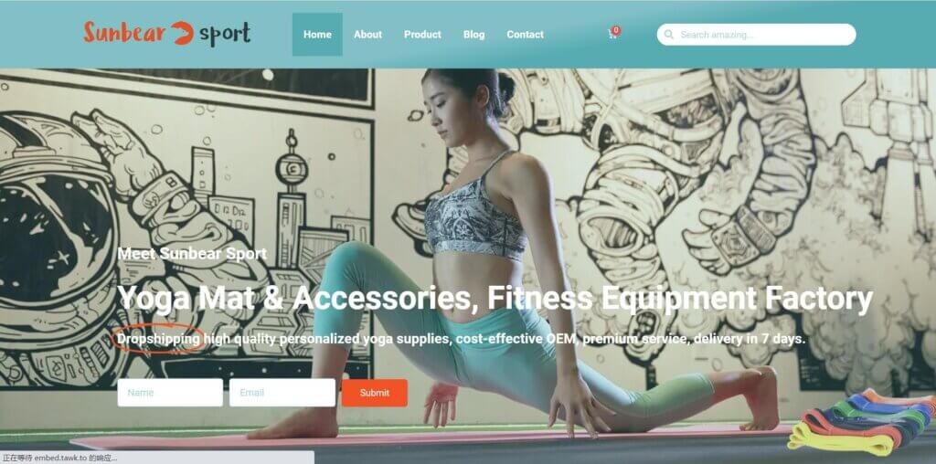 Subnear Sport Private Label Yoga Mats Suppliers