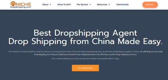 Niche Dropshipping