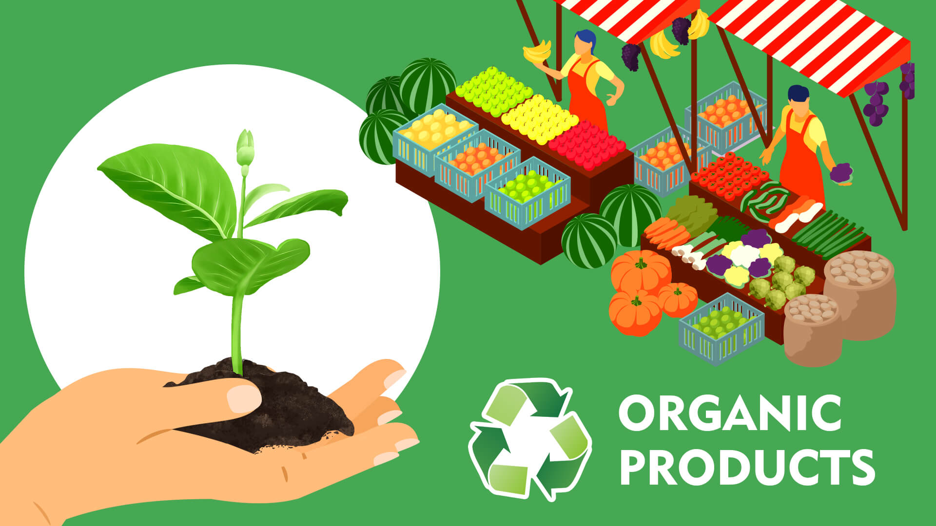 15 Organic Food Wholesalers and Distributors Waiting To Partner With Your Organic Food Brand